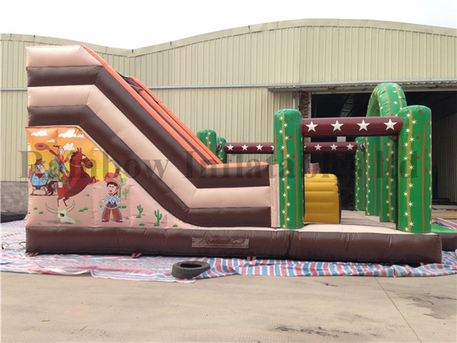 Outdoor Commercial Inflatable Cactus Theme Bounce Playground