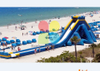 World's Largest Inflatable Hippo Water Slide , Beach Huge Water Slide, Giant Hippo Inflatable Slide for Adult