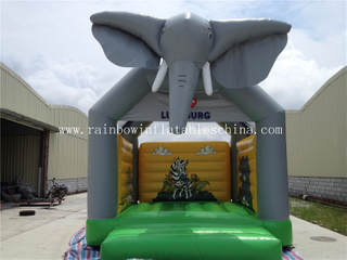 Mini Animal Theme Home Inflatable Bouncers for Children