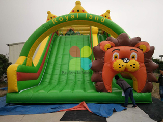 inflatable slide kids