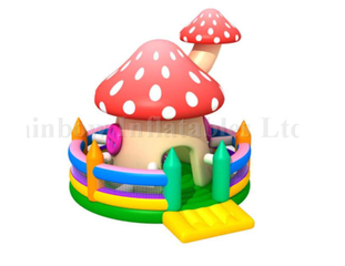 RB01028（6x5m）Inflatable mushroom jumping castle bouncer