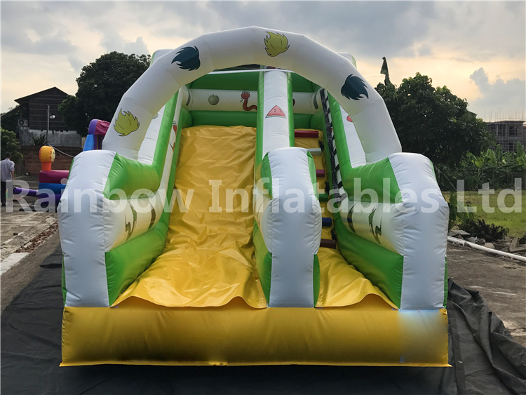 High Quality Small Commercial Inflatable Dry Slide for Toddlers