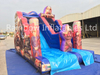 Outdoor Commercial Inflatable Disney Film Dry Slide for Children