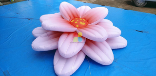 Festival Inflatable DecorationChina