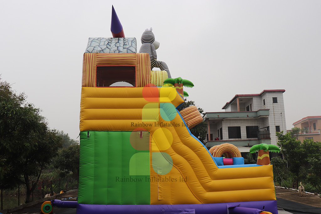 Inflatable Birthday Party