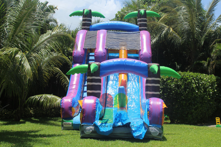 Long Inflatable Volcano Bay Double Lane Water Slide