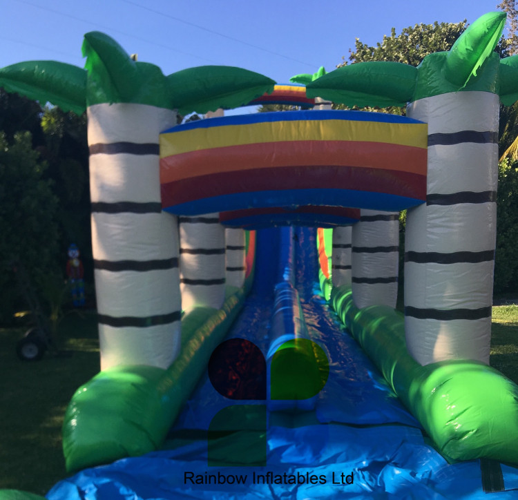 Giant Inflatable Tropical Slide 